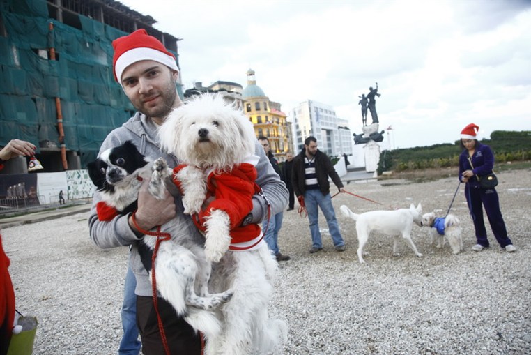 Fun Walk With Santa